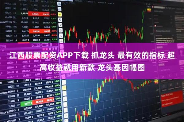 江西股票配资APP下载 抓龙头 最有效的指标 超高收益就用新款 龙头基因幅图