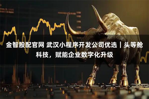 金智股配官网 武汉小程序开发公司优选｜头等舱科技，赋能企业数字化升级