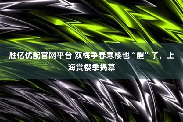 胜亿优配官网平台 双梅争春寒樱也“醒”了，上海赏樱季揭幕